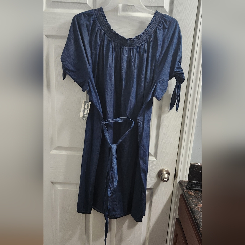Terra & Sky Blue Puff Sleeve Tunic/Dress with Tie Front